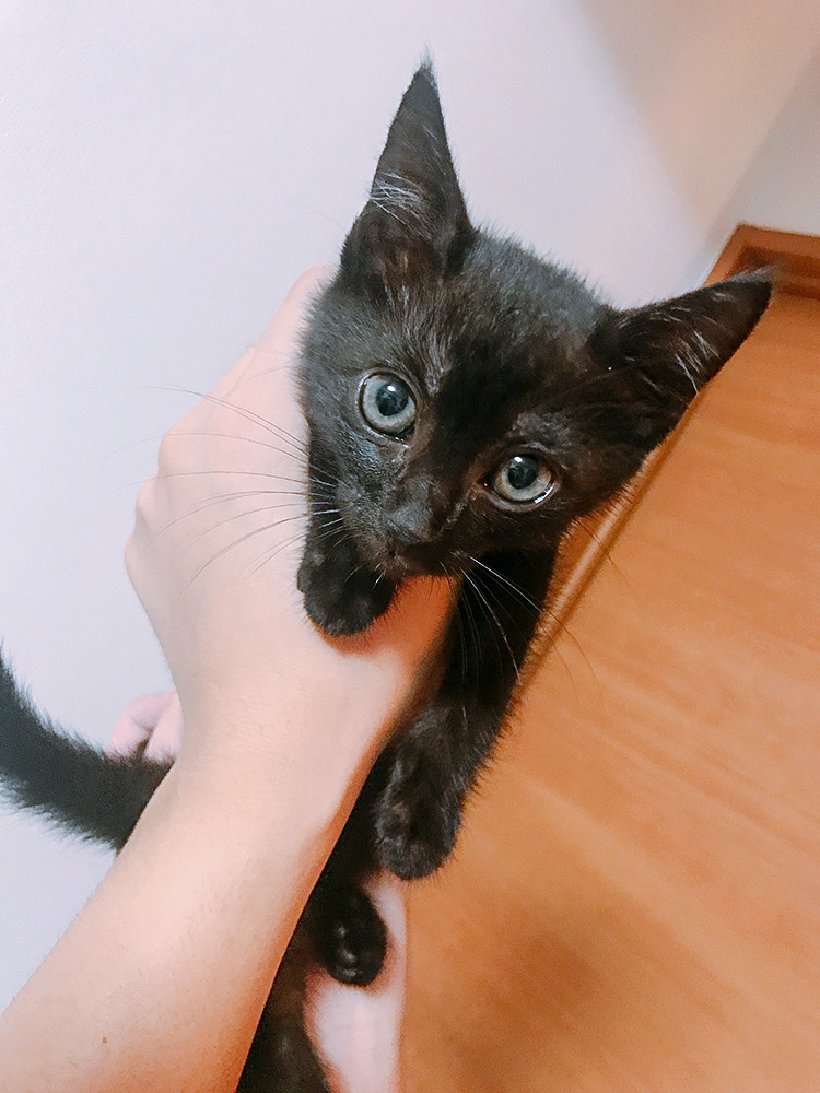 小さかったあの頃