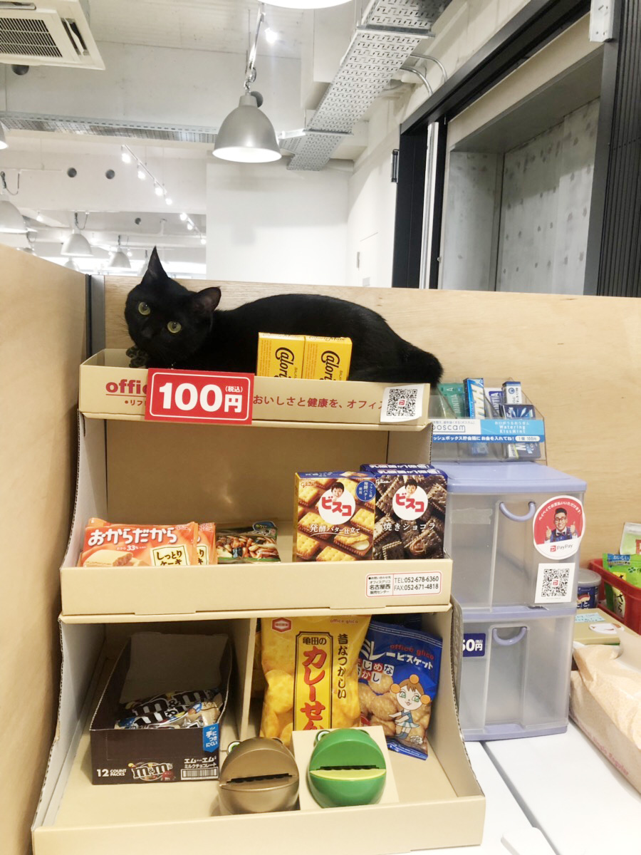 今なら100円!