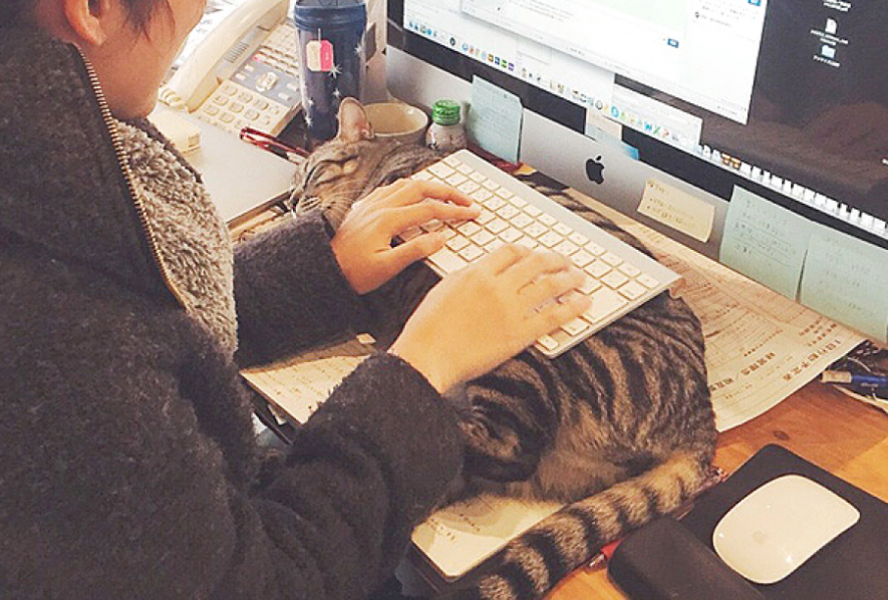 のびたはキーボード<br />
<br />