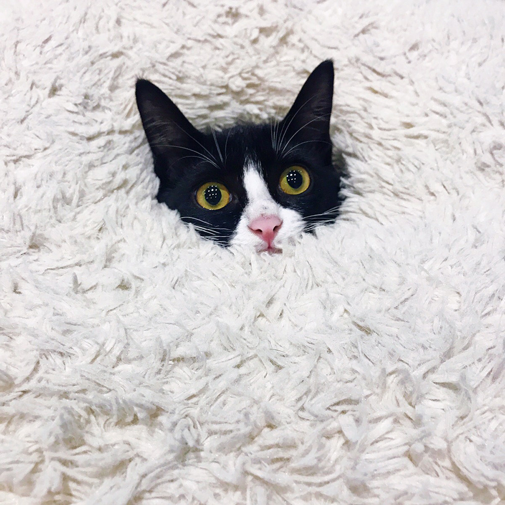埋もれるアディダス<br />
<br />