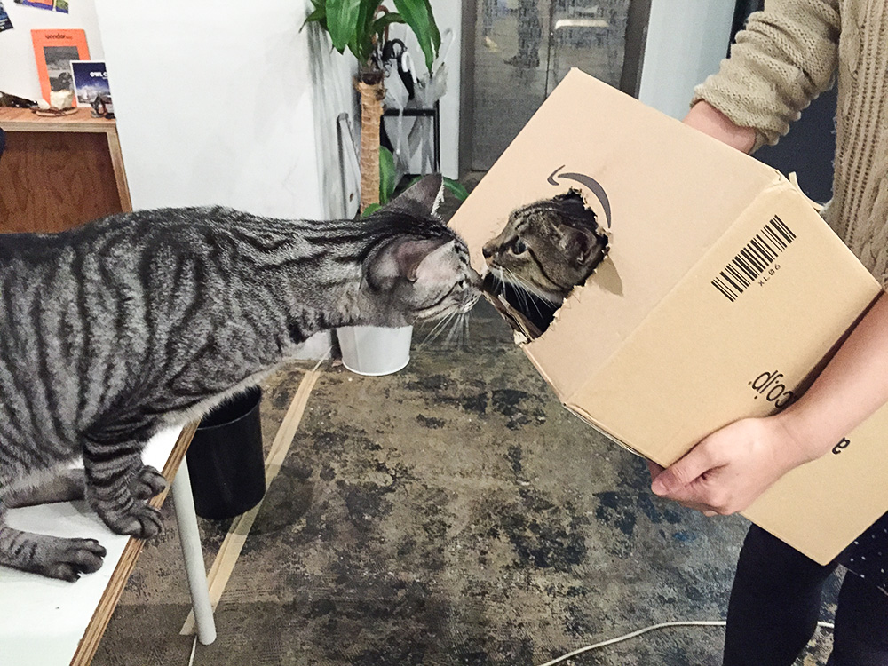 お届けものです