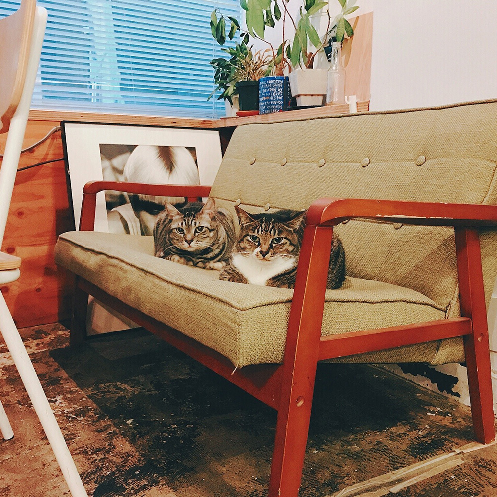 顔がつぶれてる