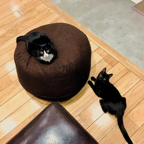 仲良し